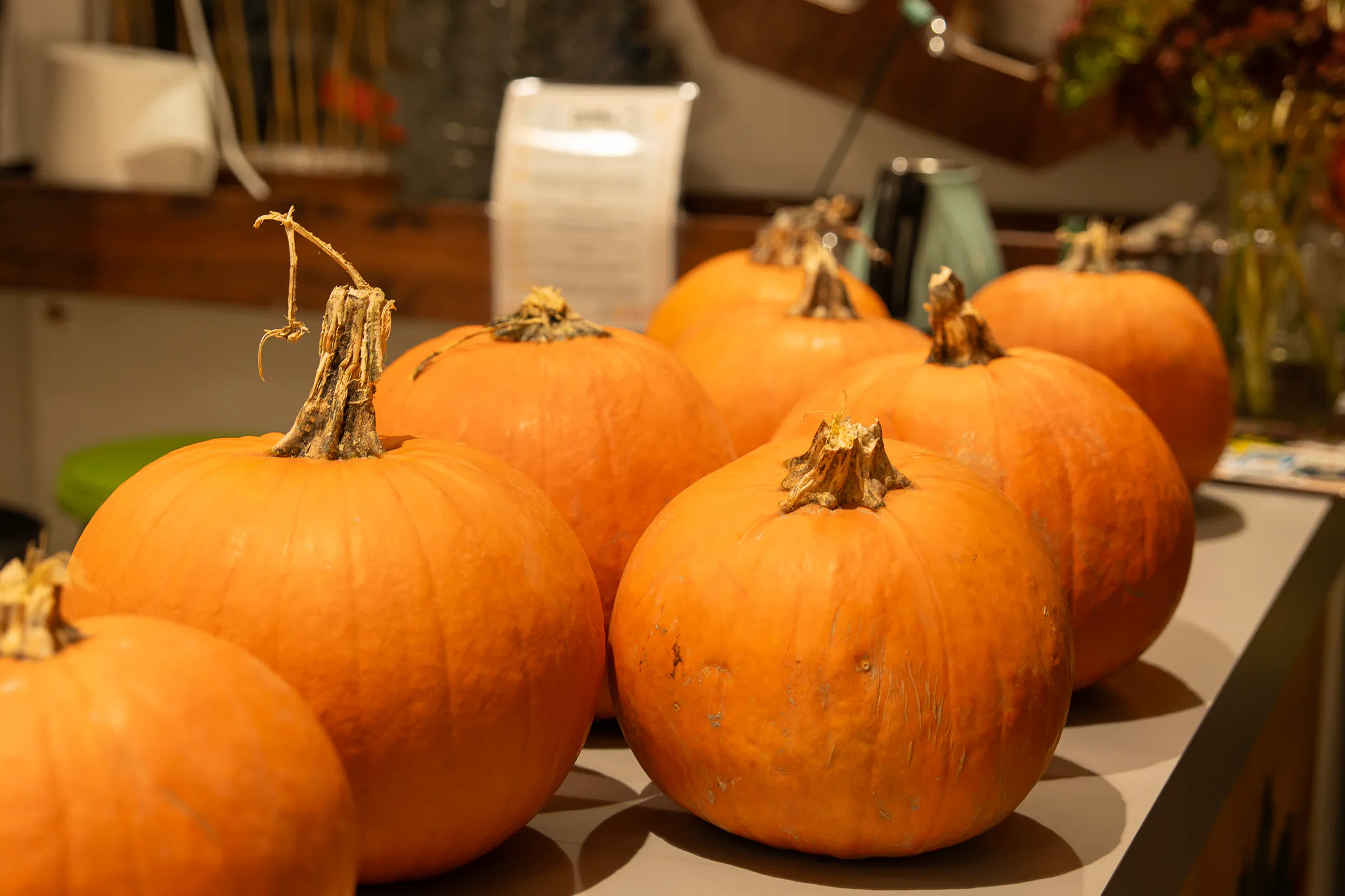 pumpkins