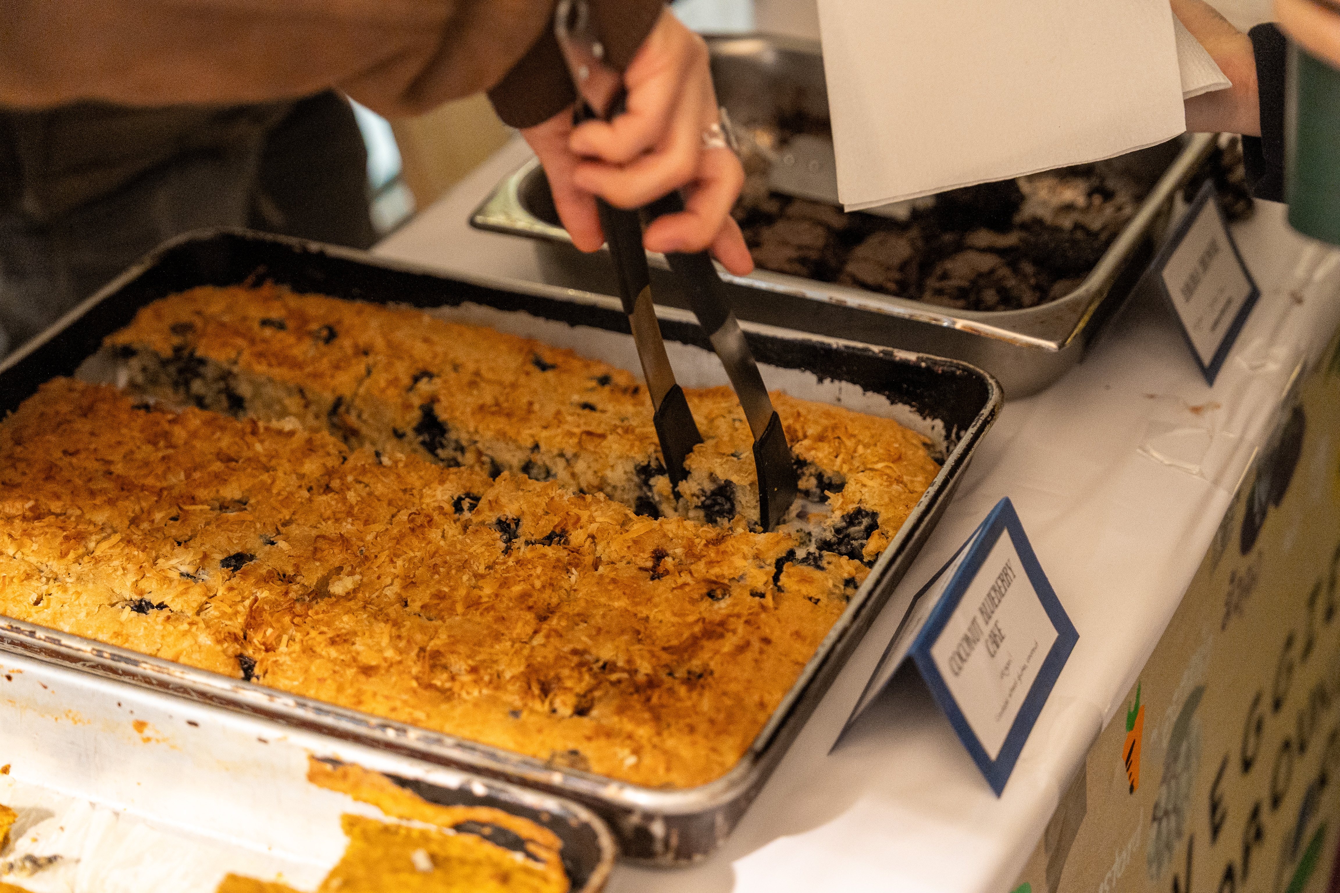 coconut blueberry cake